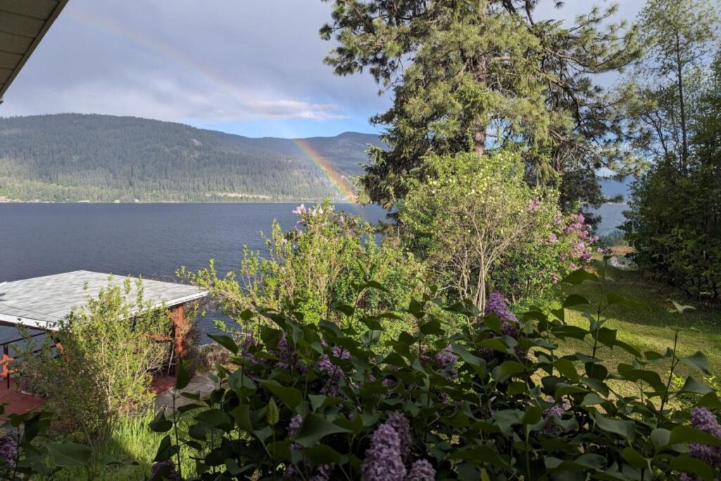 Home A vibrant rainbow over Christina Lake seen through blooming purple lilacs at Christina Lake House.